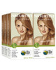 Naturtint  Permanent Hair Color (Pack of 1) Ammonia Free Vegan Cruelty Free up to 100% Gray Coverage Long Lasting Results