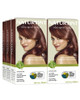 Naturtint  Permanent Hair Color (Pack of 1) Ammonia Free Vegan Cruelty Free up to 100% Gray Coverage Long Lasting Results