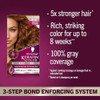 Schwarzkopf Keratin Color® 7.7 Permanent Hair Dye