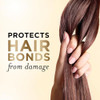 Pantene 2-in-1 Shampoo & Conditioner Daily Moisture Renewal - Pro-V Nutrients for Dry  Color-Treated Straight to Curly Hair  72-Hour Hydration & Softness