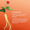 Sulwhasoo Concentrated Ginseng Cleansing Foam Hydrating Korean Facial Cleanser  Removes Makeup Dirt and  Oil  Gentle Daily Face Wash for Dry Normal and  Sensitive Skin