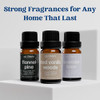 Ce Craft Premium Fragrance Oil Pair For Diffusers Flannel Musk + Flannel Pine " Diffuser Oils Fragrances Scented For Home Candle Soap Making Supplies Aromatherapy Blends For House 10 Ml