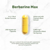 Deal Supplement Berberine Max Supplement With Turmeric 5000 Mg Per Serving 240 Vegetarian Capsules Berberine Hcl With Turmeric Root Extract NonGmo