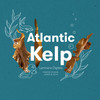 REN Atlantic Kelp Hand Wash 300ml