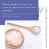 Absolute Aromas Lavender Himalayan Bath Salt