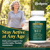 Osteogenix Plus Joint Support – Glucosamine Chondroitin MSM Collagen 90 Ct