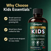 Wellgenix Balanced Essentials Kids Liquid Multivitamin, 16 Fl Oz