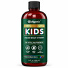Wellgenix Balanced Essentials Kids Liquid Multivitamin, 16 Fl Oz