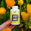 LIVELY VITAMIN CO. Solar Power Vitamin D3 5000 iu - Patented Vitamin K - MK7 - Immune Balance - Brain Function - Mood - Heart - Stress - 60 Count
