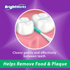 Brightworks Mint Dental Floss Picks 3 Packs Soft Bristles Travel Case 360Ct