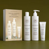 Innersense Organic Beauty Essential Hydration Ceremony Set