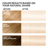 L'Oral Paris Feria Multi-Faceted Shimmering Permanent Hair Color, Extreme Platinum, 2 COUNT Hair Dye