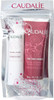 Caudalie Winter Duo Hand and Nail Cream Th des Vignes + Lips conditioner 4,5g