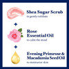 Dr Teal's Shea Sugar Body Scrub, Rose with Essential Oil, 19 oz (Pack of 3)