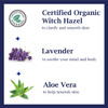 Dr Teals Witch Hazel Facial Toner, Lavender, 16 fl oz (Pack of 2)