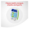 Colgate 30 Surround Manual Toothbrushes with Tongue and Cheek Cleaner, 6 Count