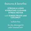 Pacifica Beauty Coconut Power Strong and Long Moisturizing Shampoo, Vegan & Cruelty Free, 8 Fl Oz