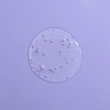 Pacifica Body Wash - Lavender Moon 12 oz