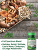 Mushroom Supplement Capsules | 60 Count | Full Spectrum | Non-GMO, Gluten  | Complex of Super 6 Mushrooms | by Nature's Truth