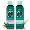 HASK Tea Tree Shampoo and Conditioner Collection: Includes Tea Tree Oil & Rosemary Shampoo and Conditioner and a 12 Pack of Tea Tree Deep Conditioner