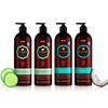 HASK Cucumber + Aloe and Coconut Body Wash Set: Includes 2 24.5oz Cucumber + Aloe Body Wash and 2 24.5oz Coconut Body Wash