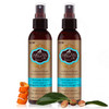 HASK Argan Oil Shampoo and Conditioner Collection: Includes 2 5-in-1 Leave In Conditioners and 1 Shampoo and Conditioner Set