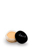 Cleure Full Coverage Mineral Concealer Cocoa