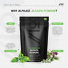 Organic Alfalfa 1200mg - Pure & Potent Powder - Certified Organic, Non GMO, Gluten Free, Halal - 120 Vegan Capsules