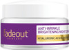 Fade Out Anti Wrinkle Brightening Night Cream with Hyaluronic Acid & Niacinamide Exfoliating Skin Renewal Night Cream 50ml