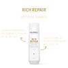 Goldwell Dualsenses Rich Repair, Restoring Shampoo for Dry to Damaged Hair, 250 ml