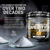 Creatine Monohydrate Powder | MuscleTech Platinum Creatine Powder | Pure Micronized Creatine Powder | Muscle Recovery + Muscle Builder for Men & Women | Workout Supplements | Unflavored (80 Servings)