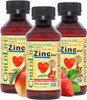 ChildLife Essentials Liquid Zinc Plus - All-Natural Support for Optimal Immune System Function, Allergen-Free, Zinc Drops for Kids, Infants, & Teens - Mango Strawberry Flavor, 4 Fl Oz (Pack of 3)