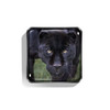 Chantecaille Black Jaguar Eye Quartet