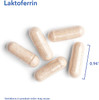 Allergy Research Group- Laktoferrin 120 Vegcaps