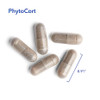 Allergy Research Group- Phytocort 120 Vegcaps