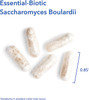 Allergy Research Group- Saccharomyces Boulardii 120 Vegcaps