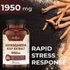 Ashwagandha 1950mg (2 Pack) - Ashwagandha Root Powder with BioPerine. Mood Support Supplement - 180 Veggie Capsules - New Age Ashwagandha 1950mg (2 Pack) - Ashwagandha Root Powder with BioPerine. Mood Support Supplement - 180 Veggie Capsules - New Age