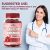 Cranberry Gummies by New Age - Urinary Tract Health Gummies 1000mg - Supports Bladder, Kidney, UTI - Vegetarian, 2 Pack -120 Count