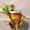 sulwhasoo Concentrated Ginseng Renewing Cream Mini