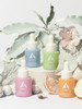 Alpha H Vitamin Discovery Kit