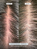 Briogeo Scalp Revival MegaStrength+ Dandruff Relief Shampoo Charcoal + AHA/BHA with Salicylic Acid 3%