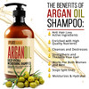 Moroccan Argan Oil Shampoo and Two Conditioners SLS Sulfate Free  Best for Damaged Dry Curly or Frizzy Hair  Thickening for Fine/Thin Hair Safe for Color and Keratin Treated Hair