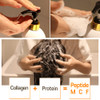 Elizavecca CER100 Collagen Coating Hair Muscle Shampoo 500ml/16.9 fl.oz.  Hair Shampoo for Dry Hair KBeauty