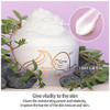 Elizavecca Gold Cf Nest B Jo Eye Want Cream 3.4 Ounce