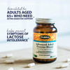 Flora  Advanced Adult Enzyme Blend with Lactase Enhances Digestion  Provides Relief for Lactose Intolerance GlutenFree Non GMO 60 Vegetarian Capsules