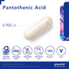 Pure Encapsulations Pantothenic Acid 120 vegcaps Pure Encapsulations Pantothenic Acid 120 vegcaps