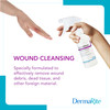 DermaKlenz Wound Cleanser Mild No Rinse Spray Cleanser With Zinc Acetate Detergent Free 2 Spray Bottles 8 fl oz Each