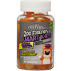 21st Century Zoo Friends Smart Kids Omega Plus DHA Gummies  60 ea
