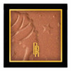 Black Radiance COLOR PERFECT HIGHLIGHTING POWDER Gilded Glow .25 oz 1310003
