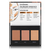Black Radiance True Complexion Contour Palette Light to Medium 0.38 Ounce
